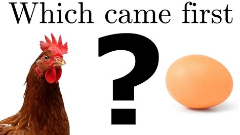 which came first the chicken or the egg